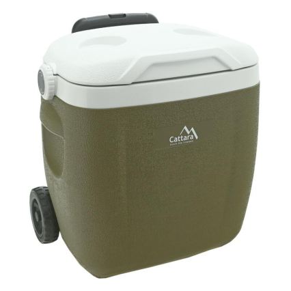 Box refrigerante portatile 16 l con ruote, verde