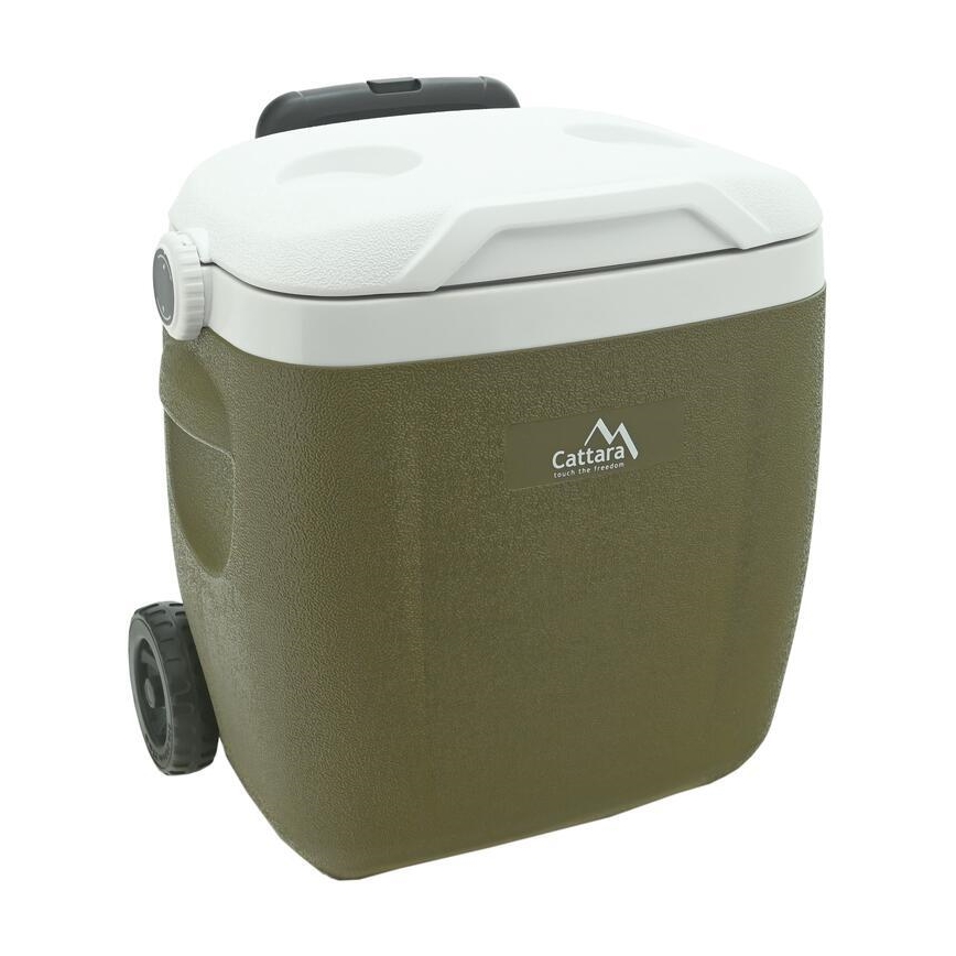 Box refrigerante portatile 16 l con ruote, verde