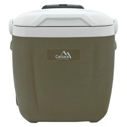 Box refrigerante portatile 16 l con ruote, verde