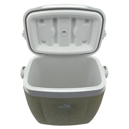 Box refrigerante portatile 16 l con ruote, verde