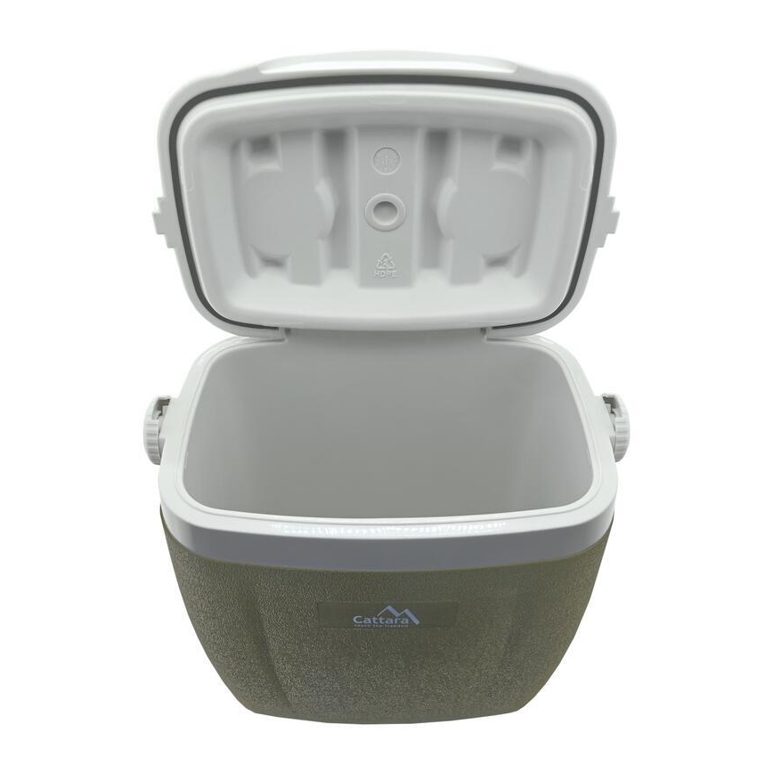 Box refrigerante portatile 16 l con ruote, verde
