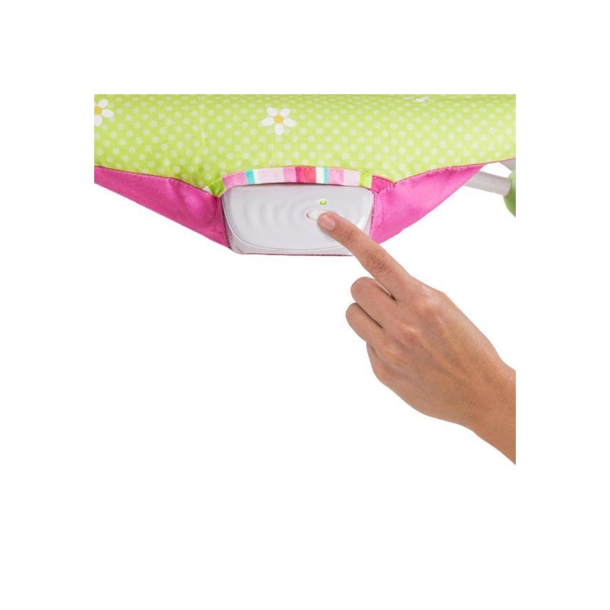Bright Starts - Altalena vibrante per bambini RASPBERRY GARDEN