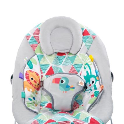 Bright Starts - Culla vibrante per bambini con melodia  TOUCAN TANGO