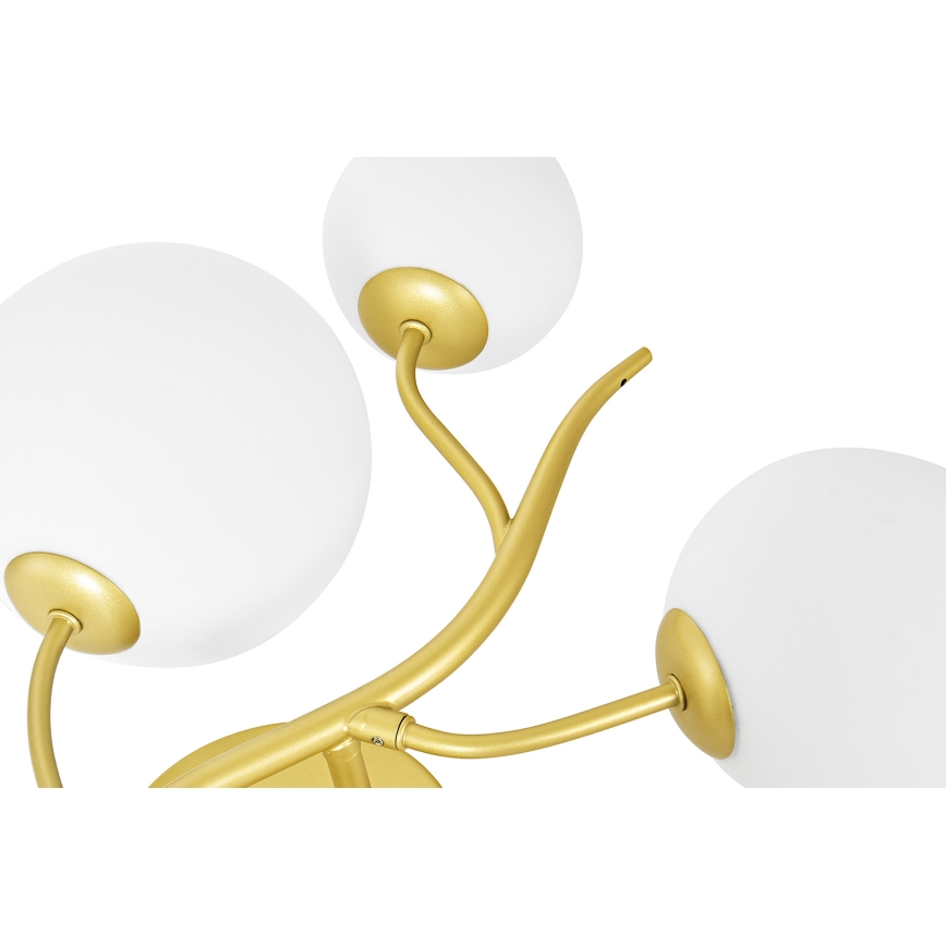 Brilagi - Applique a LED MISTEL 3xG9/3W/230V oro/bianco