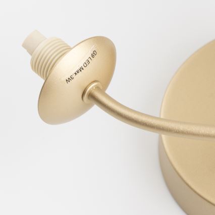 Brilagi - Applique a LED MISTEL 3xG9/3W/230V oro/bianco