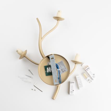 Brilagi - Applique a LED MISTEL 3xG9/3W/230V oro/bianco