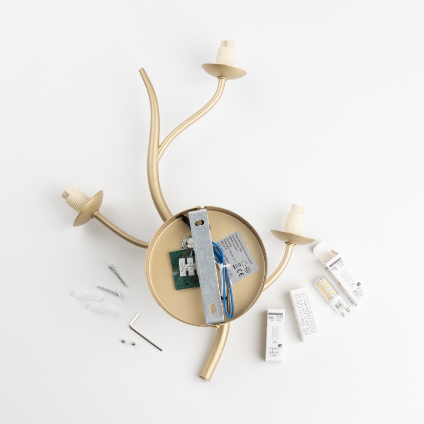 Brilagi - Applique a LED MISTEL 3xG9/3W/230V oro/bianco