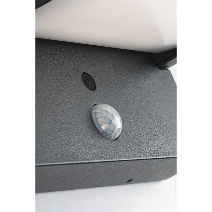 Brilagi - LED Applique solare con sensore di movimento e crepuscolare ANKLE LED/10W/3,7V 3000 mAh 3000K IP65 antracite