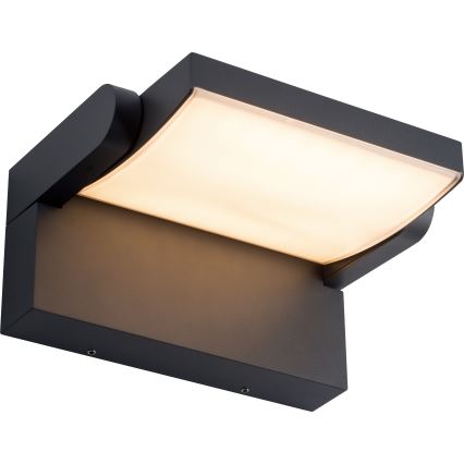 BRILAGI - Applique da esterno LED ANKLE LED/12W/230V IP65 nera