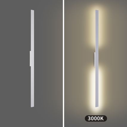 Brilagi - Applique da esterno LED LUNA LED/30W/230V 3000K IP65 150 cm bianco CRI 90