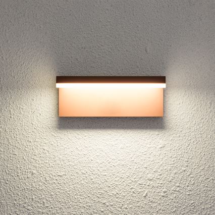 Brilagi - Applique da esterno LED TESSI LED/10W/230V marrone IP54