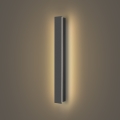 Brilagi - Applique LED da esterno LINEAR, 12W/230V, 3000K, IP65, 50 cm, antracite