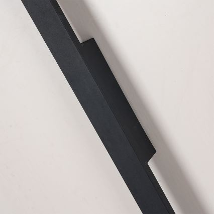 Brilagi - Applique da esterno LED LUNA LED/30W/230V 4000K IP65 150 cm nero CRI 90