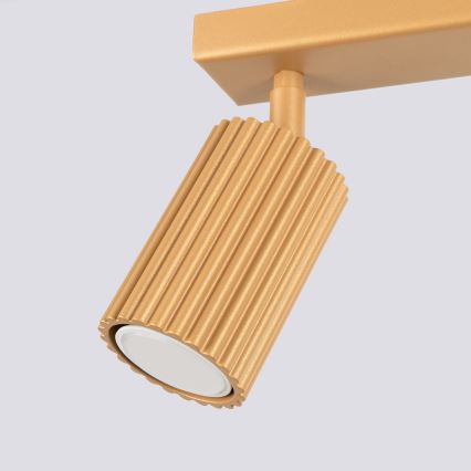 Brilagi - Faretto CRESTO 2xGU10/10W/230V oro