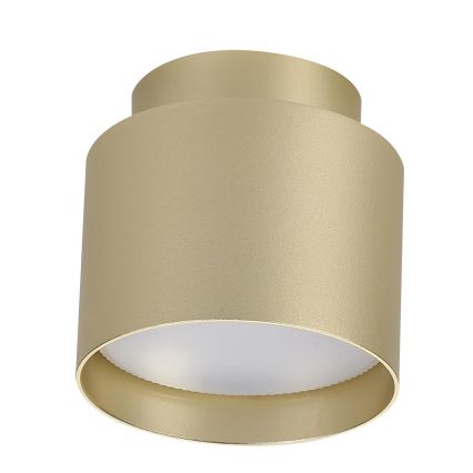 BRILAGI - Faretto LED BACKLIT 1xGX53/15W/230V + LED/3W Ø 8 cm dorato