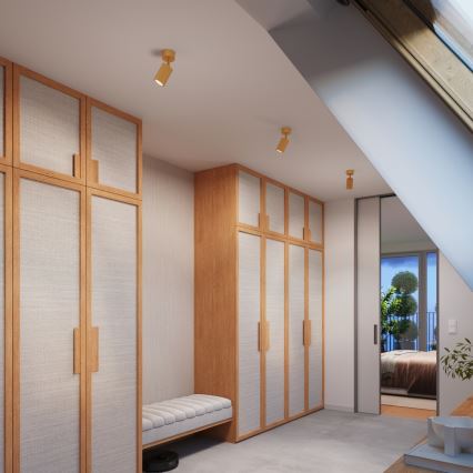 Brilagi - Faretto LED CRESTO 1xGU10/10W/230V dorato