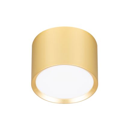 Brilagi - Faretto dimmerabile LED RGB+CCT SMOOTH 1xGX53/14W/230V 2700-6500K Wi-Fi Tuya dorato