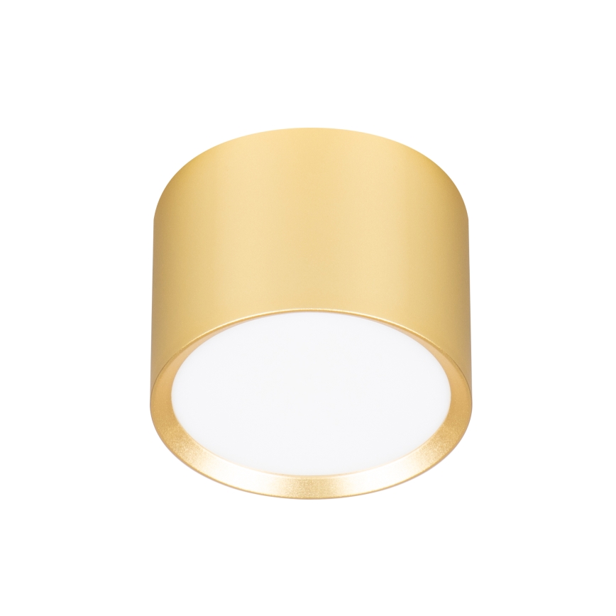 Brilagi - Faretto dimmerabile LED RGB+CCT SMOOTH 1xGX53/14W/230V 2700-6500K Wi-Fi Tuya dorato
