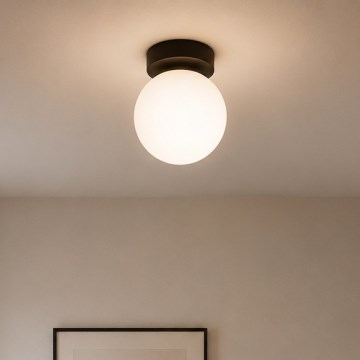 BRILAGI - Faretto MILO 1xE27/60W/230V Ø 15 cm nero