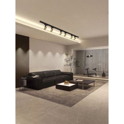 Brilagi - Faretto per sistema a binario HUSKY 6xGU10/10W/230V nero/oro