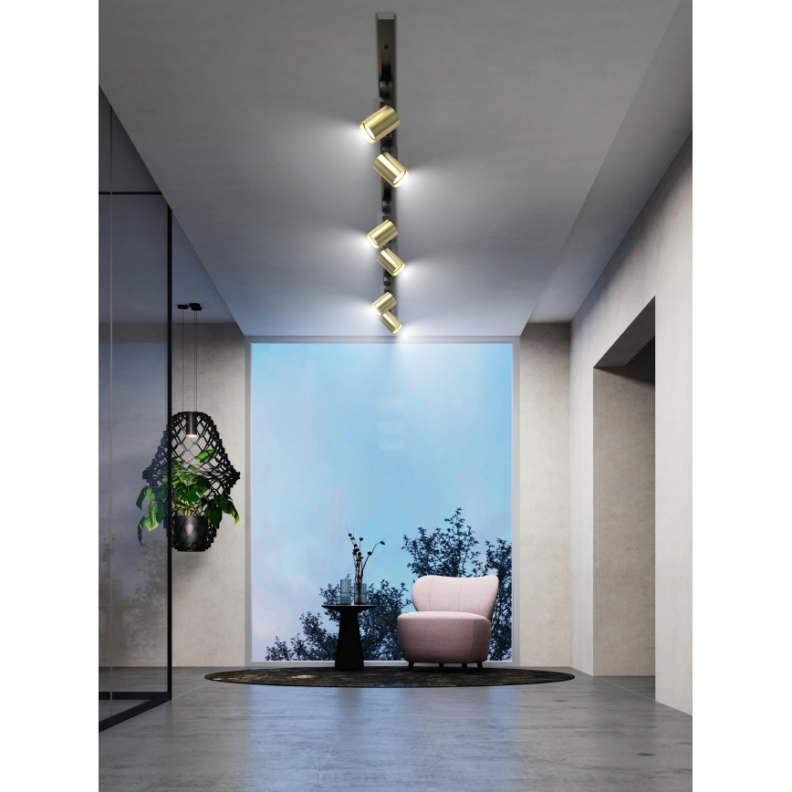 Brilagi - Faretto per sistema a binario HUSKY 6xGU10/10W/230V nero/oro