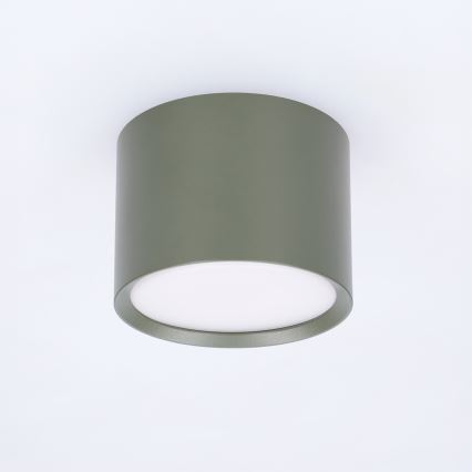 BRILAGI - Faretto SMOOTH 1xGX53/15W/230V 60x82 mm verde scuro