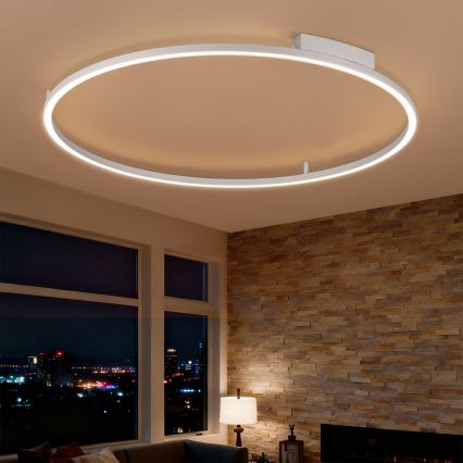 Brilagi - Plafoniera LED dimmerabile PORTOFINO LED/85W/230V 3000-6000K Ø 120 cm argento + telecomando
