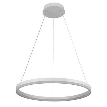 Brilagi - Lampadario a sospensione dimmerabile su cavo CIRCLE LED/42W/230V 3000-6500K Ø 60 cm + telecomando