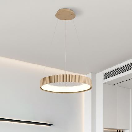 Brilagi - Lampadario dimmerabile a sospensione con cavo FALCON MODERN LED/30W/230V 3000-6500K 40 cm beige + telecomando
