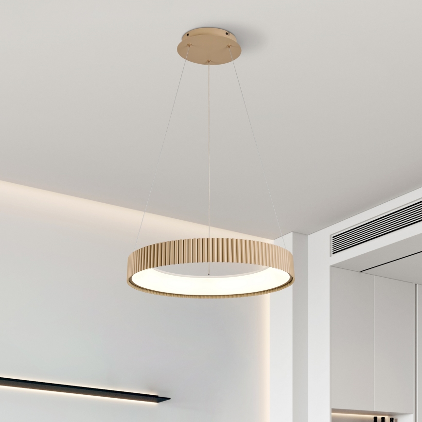 Brilagi - Lampadario dimmerabile a sospensione con cavo FALCON MODERN LED/30W/230V 3000-6500K 40 cm beige + telecomando