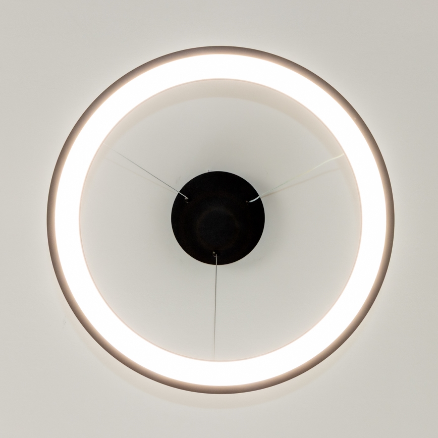 Brilagi - Lampadario LED dimmerabile a sospensione con cavo FALCON SLIM LED/42W/230V 3000-6500K Ø 50 cm nero + telecomando