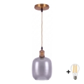 BRILAGI - Lampada a sospensione LED a cavo RETRO GLASS 1xE27/60W/230V Ø 14 cm oro/grigio fumé