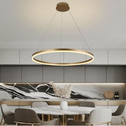 Brilagi - Lampadario LED dimmerabile a sospensione con cavo CIRCLE LED/55W/230V 3000-6500K Ø 80 cm finitura oro + telecomando