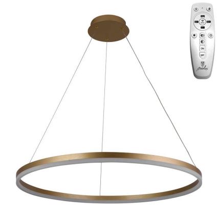 Brilagi - Lampadario LED dimmerabile a sospensione con cavo CIRCLE LED/55W/230V 3000-6500K Ø 80 cm finitura oro + telecomando