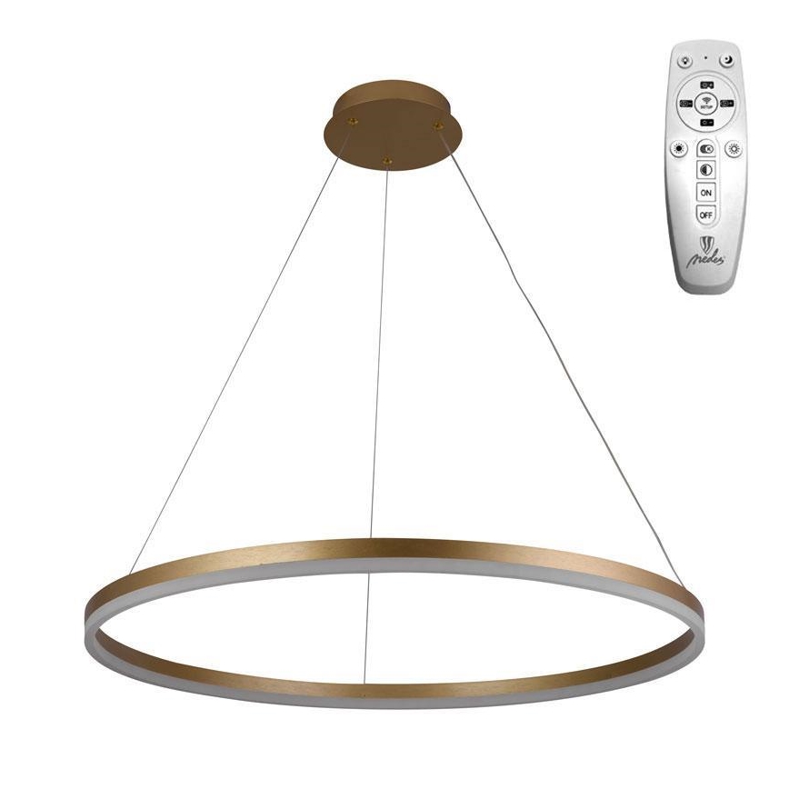 Brilagi - Lampadario LED dimmerabile a sospensione con cavo CIRCLE LED/55W/230V 3000-6500K Ø 80 cm finitura oro + telecomando