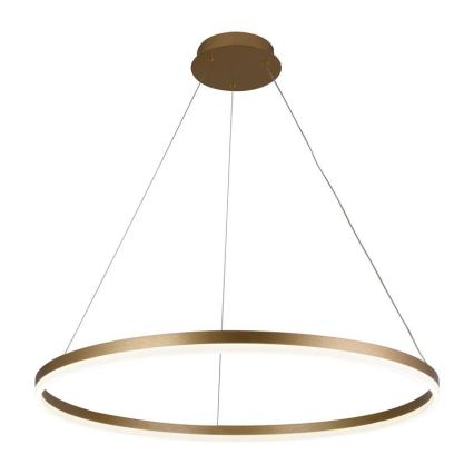 Brilagi - Lampadario LED dimmerabile a sospensione con cavo CIRCLE LED/55W/230V 3000-6500K Ø 80 cm finitura oro + telecomando