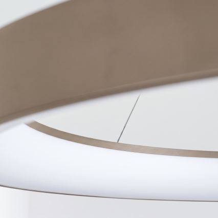 BRILAGI - LED lampadario dimmerabile su cavo FALCON II LED/108W/230V 3000-6500K Ø 80 cm beige + telecomando