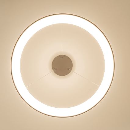 BRILAGI - LED lampadario dimmerabile su cavo FALCON II LED/108W/230V 3000-6500K Ø 80 cm beige + telecomando