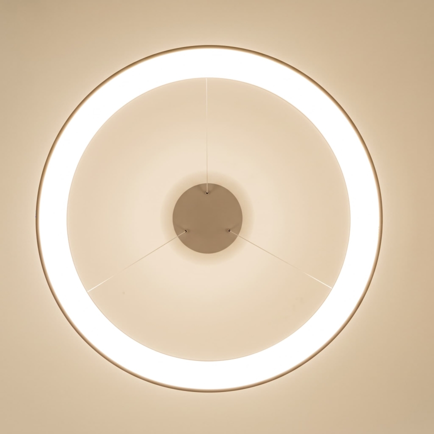 BRILAGI - LED lampadario dimmerabile su cavo FALCON II LED/108W/230V 3000-6500K Ø 80 cm beige + telecomando