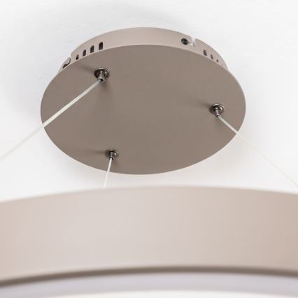 BRILAGI - LED lampadario dimmerabile su cavo FALCON II LED/108W/230V 3000-6500K Ø 80 cm beige + telecomando