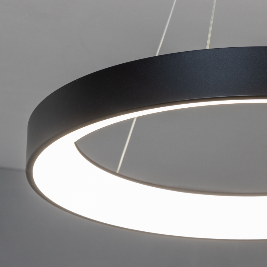 BRILAGI - Lampadario LED dimmerabile a cavo FALCON II LED/99W/230V 3000-6500K Ø 60 cm nero + telecomando