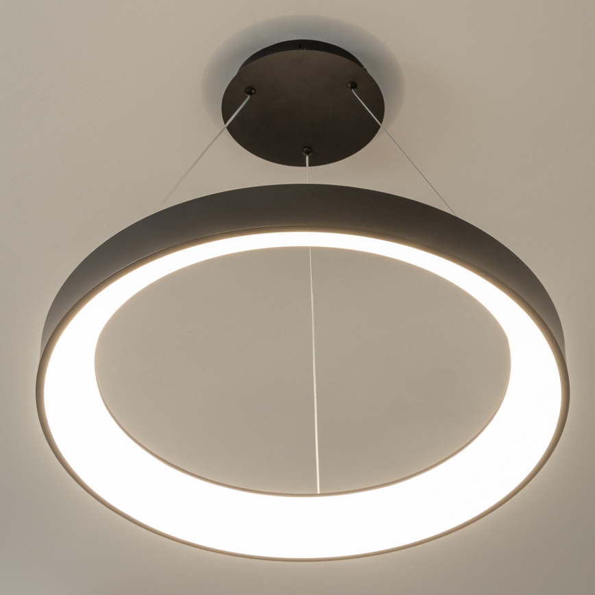 BRILAGI - Lampadario LED dimmerabile a cavo FALCON II LED/99W/230V 3000-6500K Ø 60 cm nero + telecomando