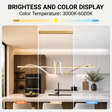 BRILAGI - LED lampadario dimmerabile su cavo SIGNATURE LED/50W/230V 3000-6000K 120 cm dorato + telecomando