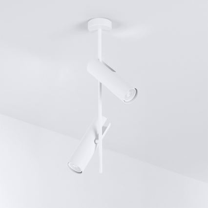 Brilagi - Lampadario LED RGBW dimmerabile su asta BRANCH 2xGU10/6,5W/230V 2700-6500K bianco