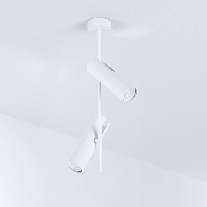 Brilagi - Lampadario LED RGBW dimmerabile su asta BRANCH 2xGU10/6,5W/230V 2700-6500K bianco