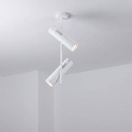 Brilagi - Lampadario LED RGBW dimmerabile su asta BRANCH 2xGU10/6,5W/230V 2700-6500K bianco