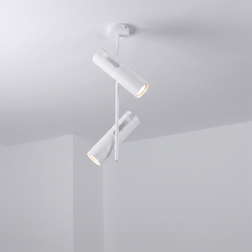 Brilagi - Lampadario LED RGBW dimmerabile su asta BRANCH 2xGU10/6,5W/230V 2700-6500K bianco