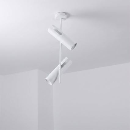 Brilagi - Lampadario LED RGBW dimmerabile su asta BRANCH 2xGU10/6,5W/230V 2700-6500K bianco
