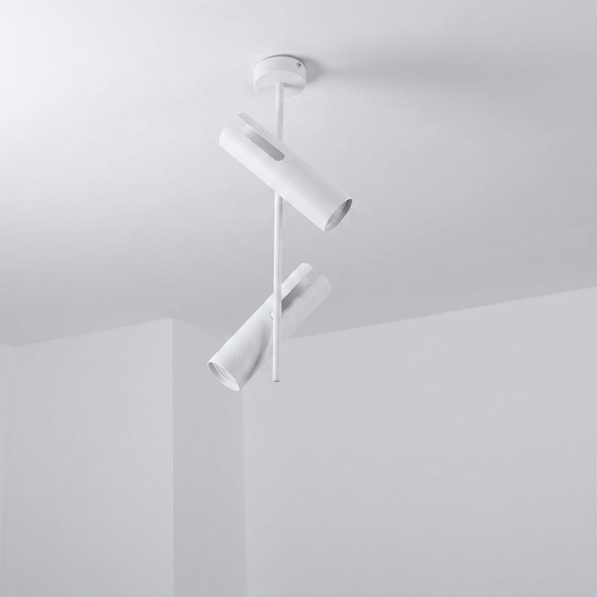 Brilagi - Lampadario LED RGBW dimmerabile su asta BRANCH 2xGU10/6,5W/230V 2700-6500K bianco