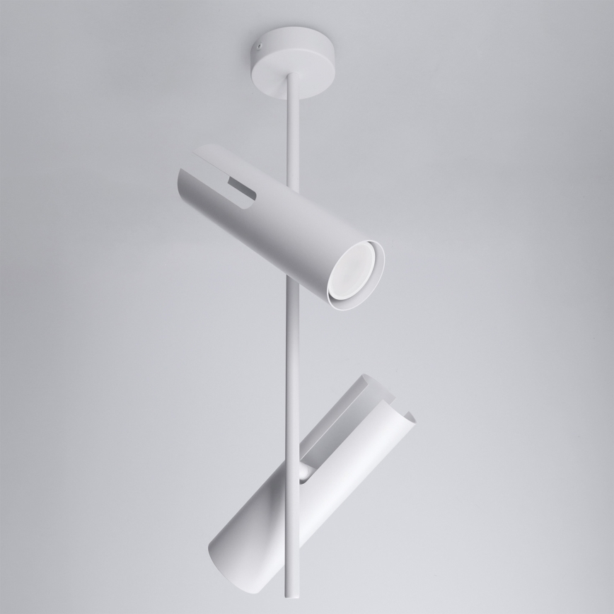 Brilagi - Lampadario LED RGBW dimmerabile su asta BRANCH 2xGU10/6,5W/230V 2700-6500K bianco
